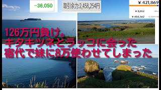 ビットコイン大暴落等で126万円負け。北海道の厚岸町と霧多布岬でキタキツネとラッコに出会い感動号泣する借金男の映像。妹に旅費8万円近く支払わせちゃった。お詫びに来年妹をカナダ旅行に連れて行こうと思う