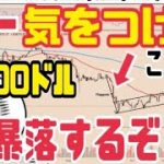 ビットコイン15000ドル以下へ暴落します！