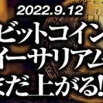 ビットコイン・イーサリアムまだ上がる！？［2022/9/12］【仮想通貨・BTC・ETH・FX】※2倍速推奨