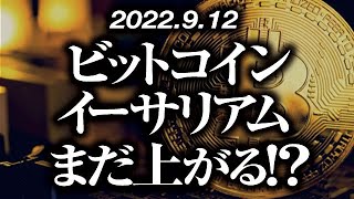 ビットコイン・イーサリアムまだ上がる！？［2022/9/12］【仮想通貨・BTC・ETH・FX】※2倍速推奨