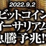ビットコイン・イーサリアム［2022/9/1］【仮想通貨・BTC・ETH・FX】※2倍速推奨