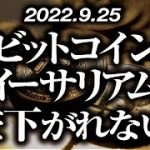 ビットコイン・イーサリアムまだ下がれない！？［2022/9/25］【仮想通貨・BTC・ETH・FX】※2倍速推奨