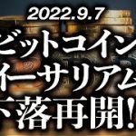 ビットコイン・イーサリアム下落再開！？［2022/9/7］【仮想通貨・BTC・ETH・FX】※2倍速推奨