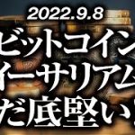 ビットコイン・イーサリアムまだ底堅い！？［2022/9/8］【仮想通貨・BTC・ETH・FX】※2倍速推奨