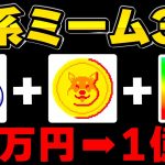 【厳選ミームコイン3選】100倍以上の高騰も狙える犬系銘柄TOP3！低価格から保有可能で今が仕込みどき【イーロンマスク】【仮想通貨】
