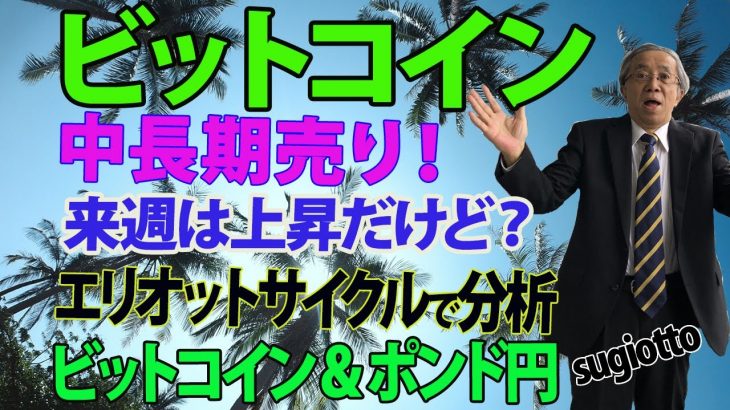 ビットコインは直近の安値を更新した後反発中です。と言っても２万ドル以下で取引されています。サイクルでは9/18-28の底値圏をトライ中です。ここからをエリオットとサイクルで予測。2022年9月20日