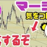 【イーサリアム】ザ・マージ取り巻く環境がヤバい！ビットコイン越え？価格は今後上昇か？下落か？【ETH】