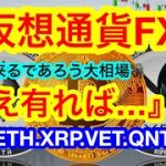 ビットコインは一旦の反発上昇🌪が‼️まだまだ売り圧かかってる😑次に向けての今できる準備を意識しよう🧌投資戦略としての仮想通貨FX👾【仮想通貨 BTC.ETH.XRP.VET.QNT】