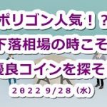 MATICポリゴン人気！？下落相場の時こそ優良コインを探そう
