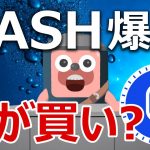 リキッドのQASHが2.5倍に爆上げしたので今が買いか検証