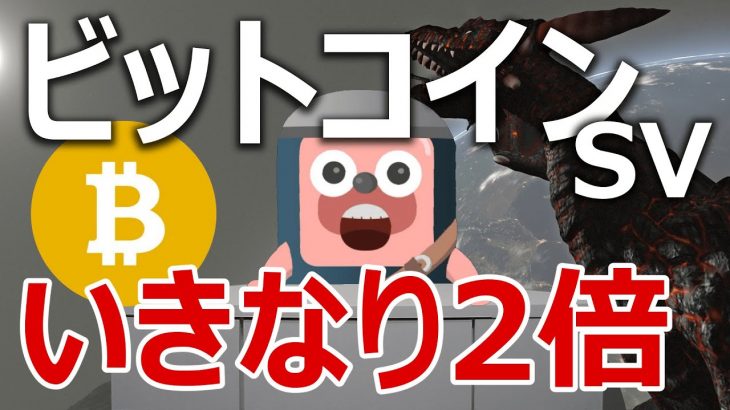 ビットコインSVが1日で2.6倍の爆上げ。今が買いか検証(BSV)