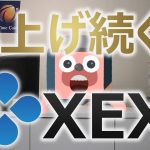 仮想通貨 XEX(ゼックス)の爆上げを検証。CROSS ExchangeとFCoinの取引所トークンは同じ道を歩むのか？