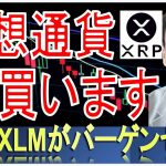 リップル(XRP)とステラ(XLM)がバーゲンセール。海外送金SWIFTの重要テクノロジー  #高橋ダン 【切り抜き】 From 2022/6/8 ＃仮想通貨 #リップル ＃ステラ #ISO20022