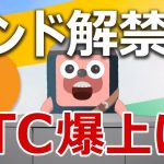 インドの仮想通貨禁止の撤回はビットコインを爆上げさせるか