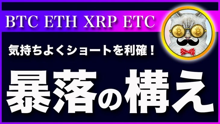 【ダメな落ち方】ビットコイン・いよいよ覚悟が必要です！【仮想通貨・戦略を先出しで毎日更新】