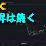 ビットコインの上昇は続く。