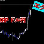 もし急落が来たら【ビットコイン、リップル、ドル円】