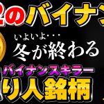 【現在0.035円】100倍超えを狙うならこれで決まり！最新ブロックチェーン…ソラナの再来か！？【RISU】【仮想通貨】