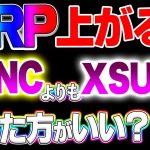 【仮想通貨】リップル11月SWELL？で爆上げする？XSUNC買った方がいいの？