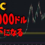 ビットコインの下落は止まらない。暴落が訪れる日は近い。14000ドル以下になるだろう。