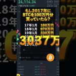 2017年にビットコインを100万円分買っていたら？