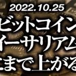 ビットコイン・イーサリアムどこまで上がる！？［2022/10/25］【仮想通貨・BTC・ETH・FX】※2倍速推奨