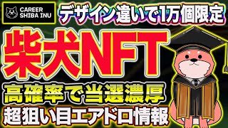 残り4日で締切り！可愛いデザインの柴犬NFTが高確率で貰える⁉︎【仮想通貨】【Career Shiba Inu】【エアドロ】