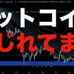 【仮想通貨 ビットコイン】トレンド転換の可能性が強くなっているフェーズ（朝活配信909日目 毎日相場をチェックするだけで勝率アップ）【暗号資産 Crypto】