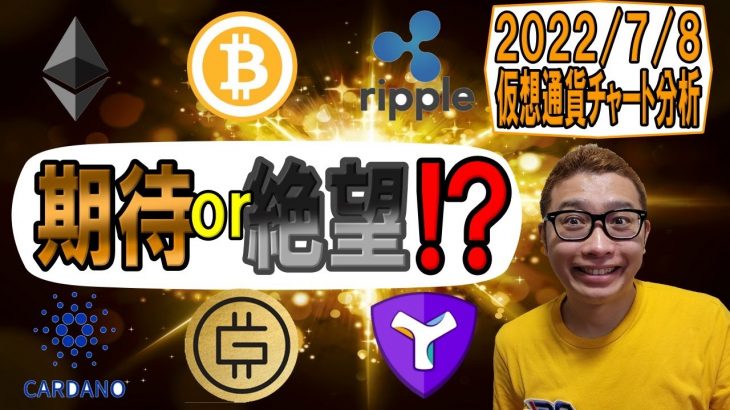 【仮想通貨 ﾋﾞｯﾄｺｲﾝBTC ＆ ｱﾙﾄｺｲﾝ 分析】ダブルボトムの分岐点到達!!期待か絶望か!?