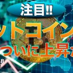 【BTC】ビットコインついに上昇か⁉︎（2022年10月8日 相場分析）