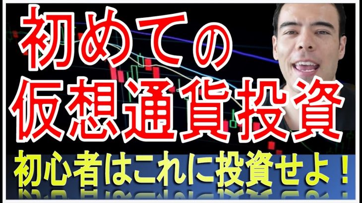 初心者の為の仮想通貨投資！歴史的に割安　#高橋ダン 【切り抜き】 From 2022/6/29 ＃仮想通貨 ＃ビットコイン ＃イーサリアム ＃リップル ＃ステラ