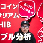 😱ビットコインは月末大きく動き出す😱ビットコイン・イーサリアム・シブSHIB📈分析とドルインデックス解説🔥