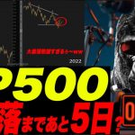 【 最後の晩餐あと５日】SP５００大暴落へのカウントダウン開始や！w　ドイツインフレ１０％イッチャたw　BinanceがイーロンにTwitter買収で800億円支援！