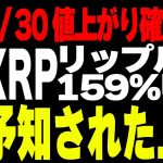 【速報】リップル爆上がり！？TVに映る価格上昇の秘密とは….