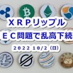 XRPリップルかんたんチャート分析！SEC問題で乱高下は続く？