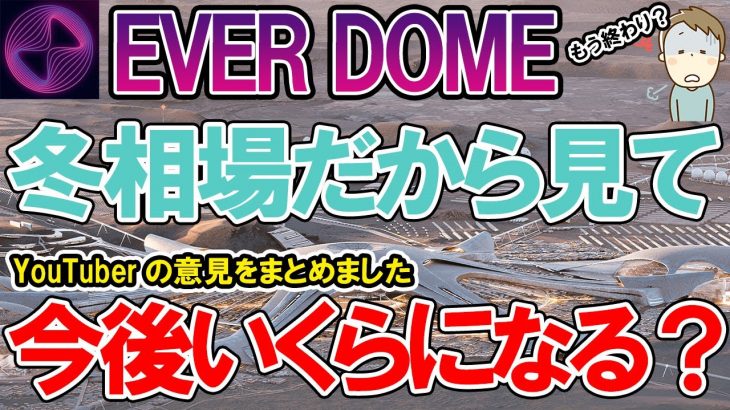 エバードームは今後いくらになる？（仮想通貨YouTuberの意見のまとめ）【青汁王子など】