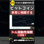 ビットコインと高い相関性を持つドル流動性指数とは#shorts