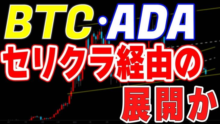 【仮想通貨ビットコイン・カルダノエイダ】ナスダックも下落基調。エイダもセリクラに向かうチャート形状