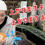 銭洗弁財天でビットコインを洗う人