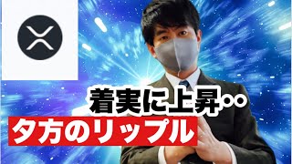 【リップル】株式が大幅高仮想通貨も着実に上昇⁉️リップル今後の戦略#仮想通貨 #xrp #リップル