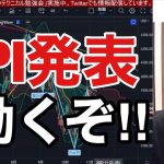【11/10】CPI発表ついに動くぞ！！米国株、日本株の急落また始まるのか？ビットコイン、仮想通貨が大暴落。原油急落でエネルギー関連銘柄が弱い。NASDAQ、レバナス助かるのか？円安加速再開？