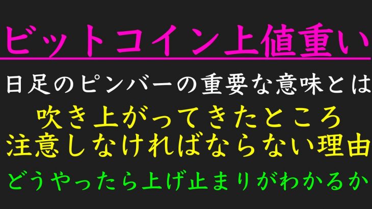11/25ビットコイン上げ止まり的中！ピンバーの見極めについて話します。