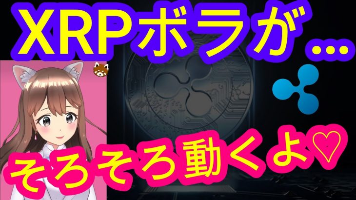 11/3【仮想通貨】XRP相場分析♡5分で聞ける♪インスタは説明欄から登録してね↓↓↓サクッと見れる♪通勤前や寝る前のインプットにおすすめ♡
