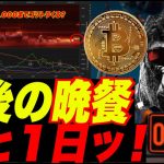 【最後の晩餐明日！】ビットコイン$23,000-25,000までブルトラ熱望！w FOMCで爆落くるかw