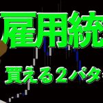 本日雇用統計！BTC買えるパターン２選【ビットコイン、その他アルト、カブ、ドル円】