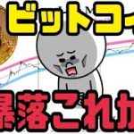 ビットコイン（BTC）暴落理由●●！大底？または大暴落の始まりか？
