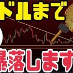ビットコイン（BTC）6000ドル〜1万ドルまで大暴落する根拠●●です