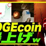 【DOGE爆上げw】イーロンがDOGEとTwitterの写真ツイートでDOGE2倍にw ドイツ食品インフレTo TH MOOOONw