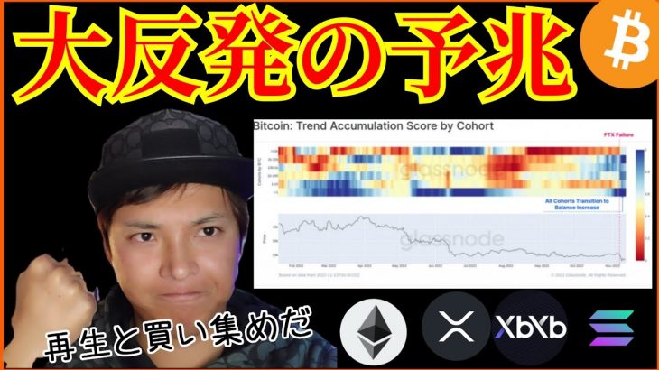 【大反発の予兆】仮想通貨危機の裏で再生と買い集め✨+ビットコイン ETH XRP DYDX SOL チャート分析