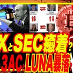 【FTXサムとSEC癒着証言！】FTX、Alameda、SECゲンズラー、３AC、LUNA暴落、BlockFi・Voyager救済の全貌が見えてきた？w サムはドバイ逃亡失敗でBahama拘束w